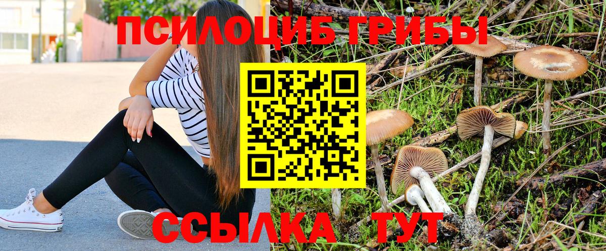 Галлюциногенные грибы Cubensis Костомукша